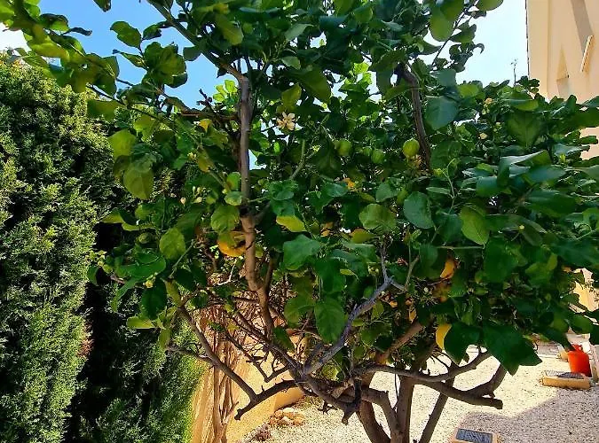 Anastasia - Stunning Sea View, Cheerful 2 Bedroom *