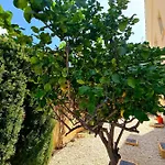 Anastasia - Stunning Sea View, Cheerful 2 Bedroom *